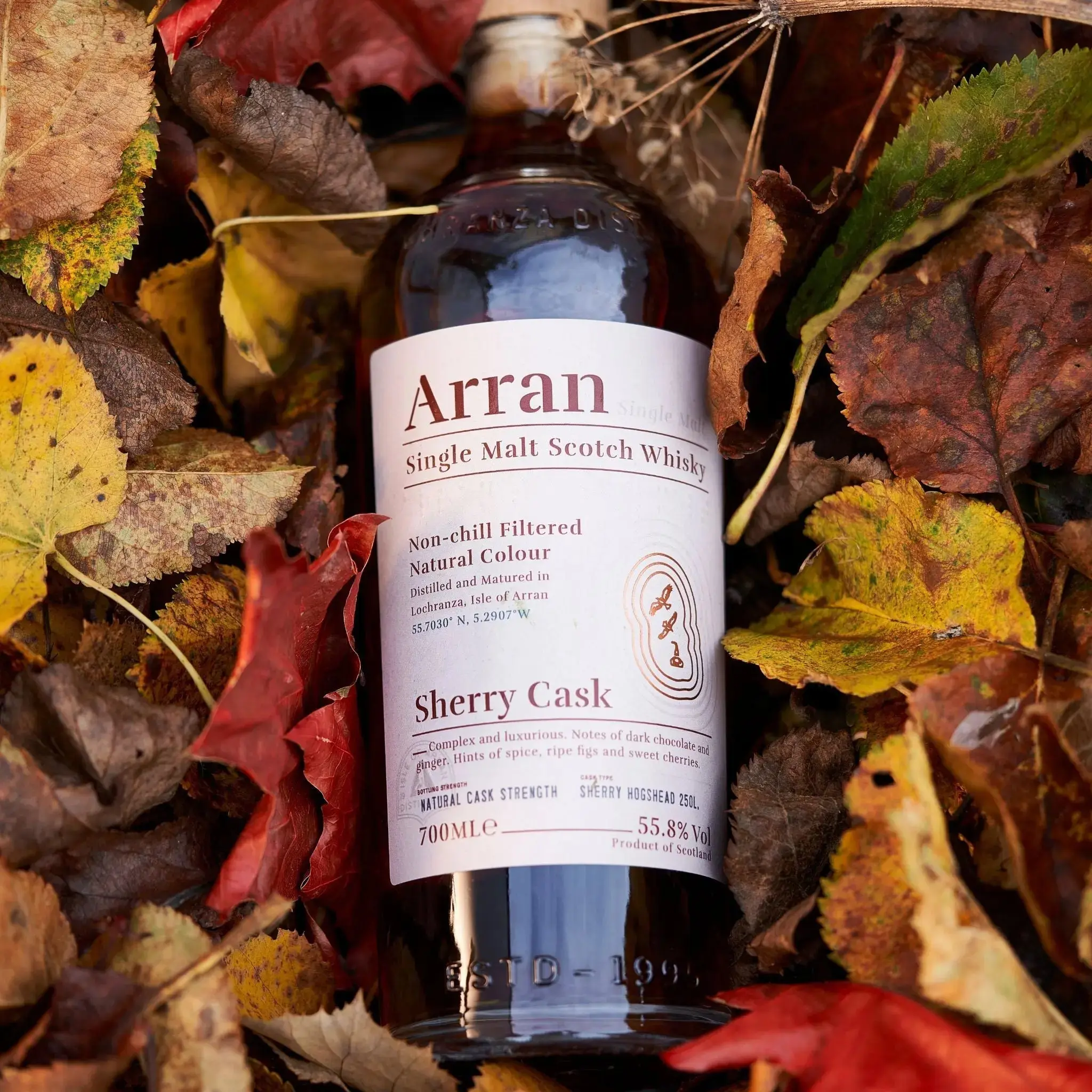 Arran Sherry Cask "Bodega" Single Malt Scotch Whisky - Image 4