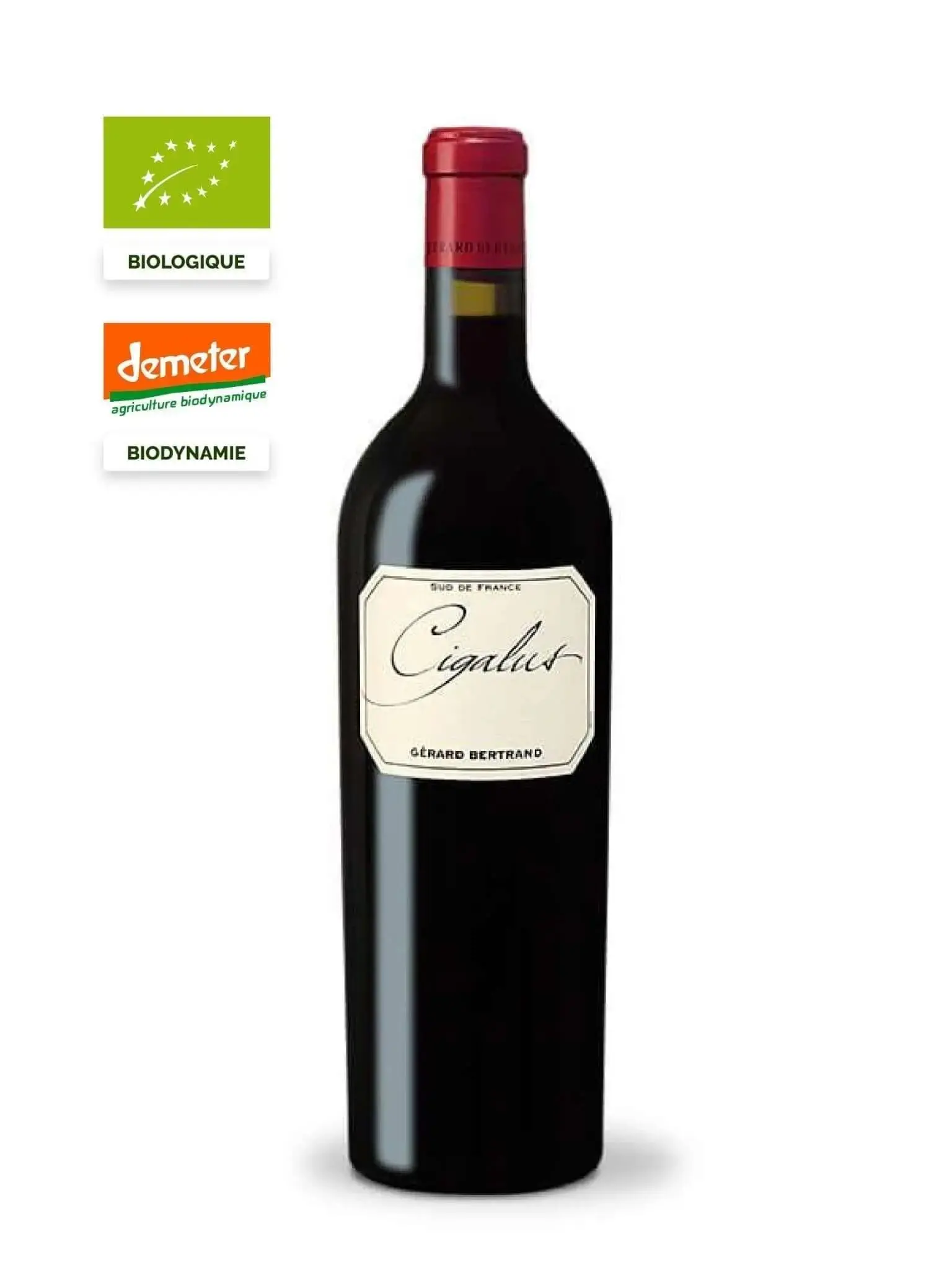 Cigalus red - Image 2
