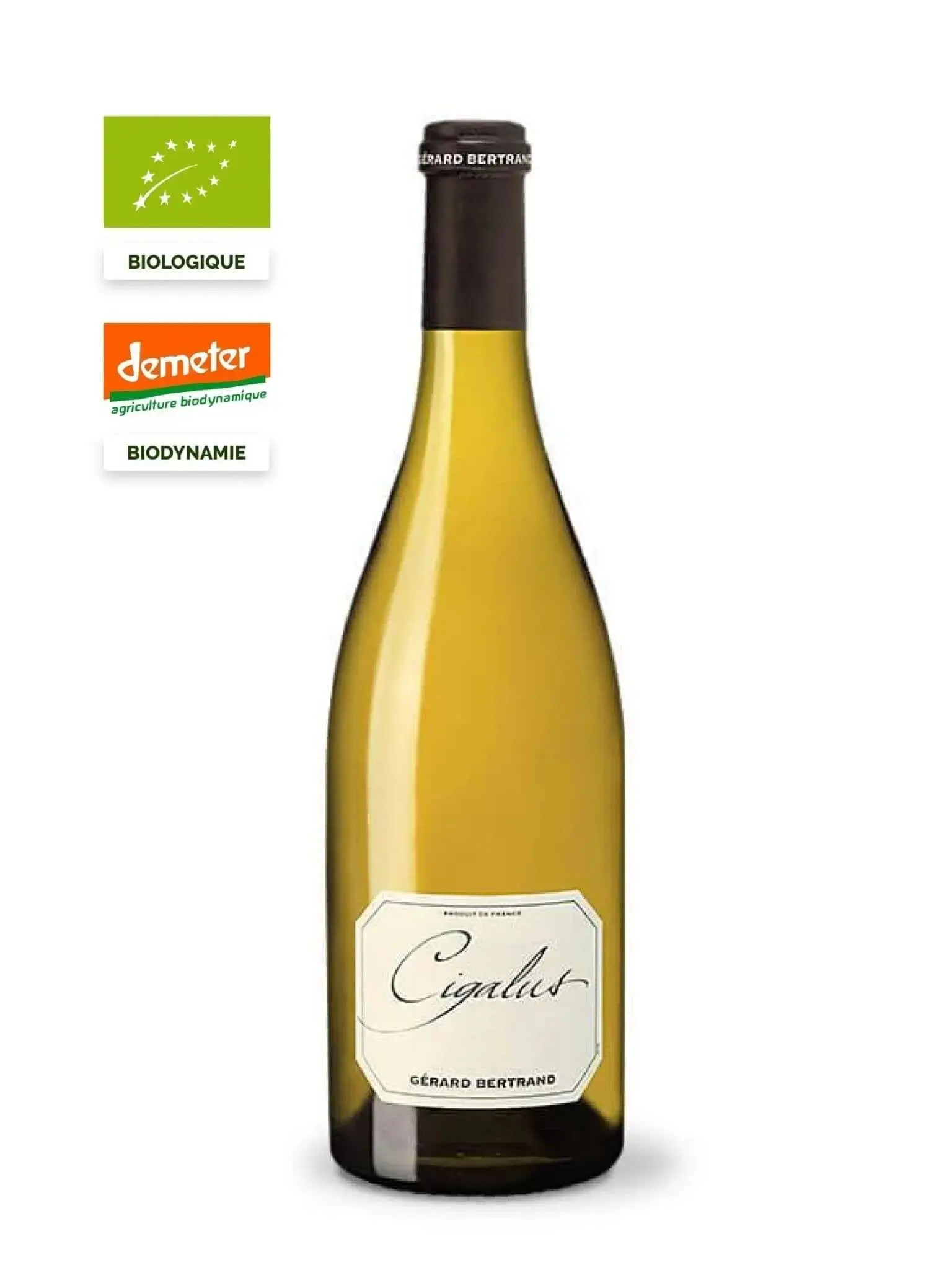 Cigalus white - Image 2