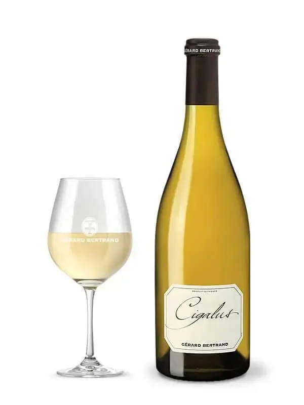 Cigalus white - Image 3