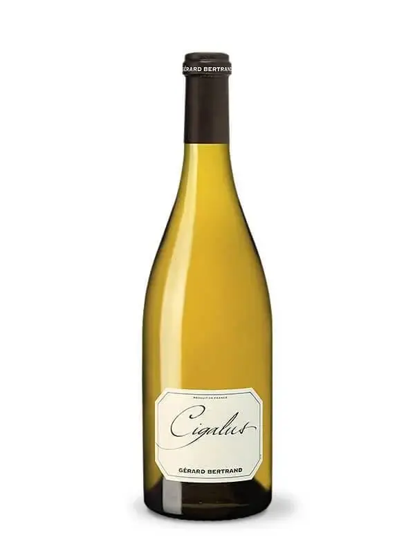 Cigalus white - Image 5
