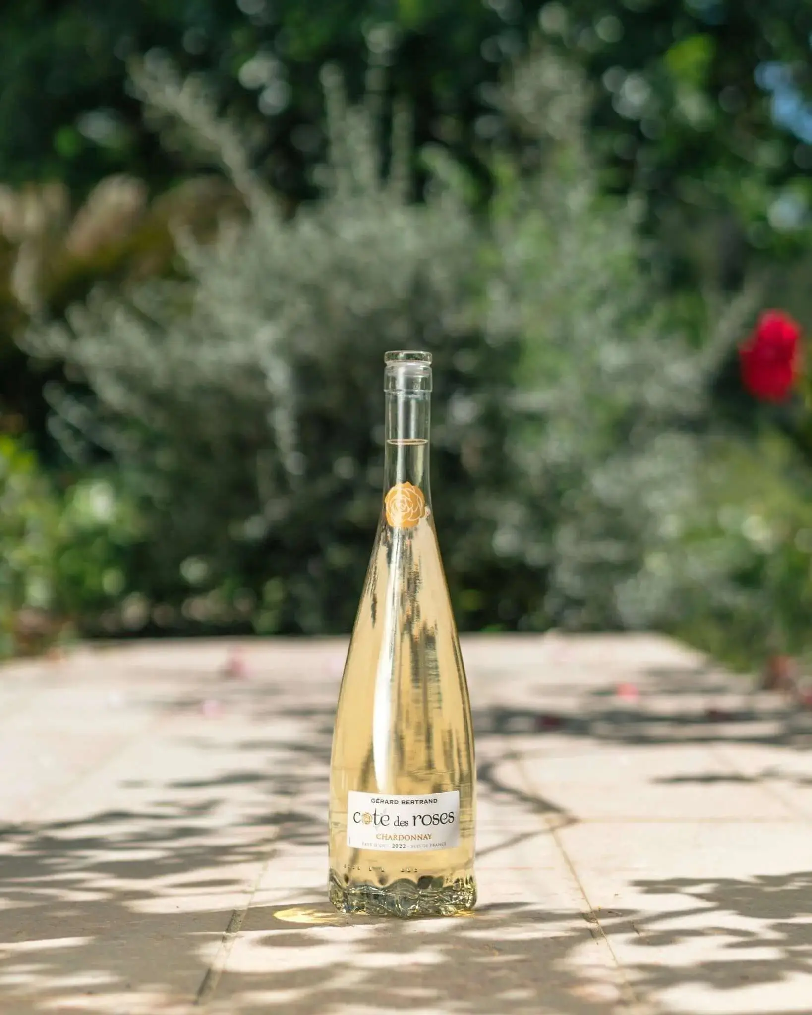 Cote des Roses chardonnay 750ml - Image 5