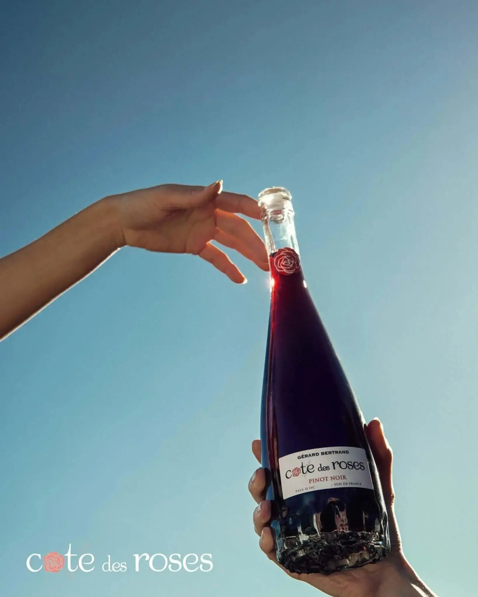 Cote des Roses Pinot noir (750ml) - Image 2