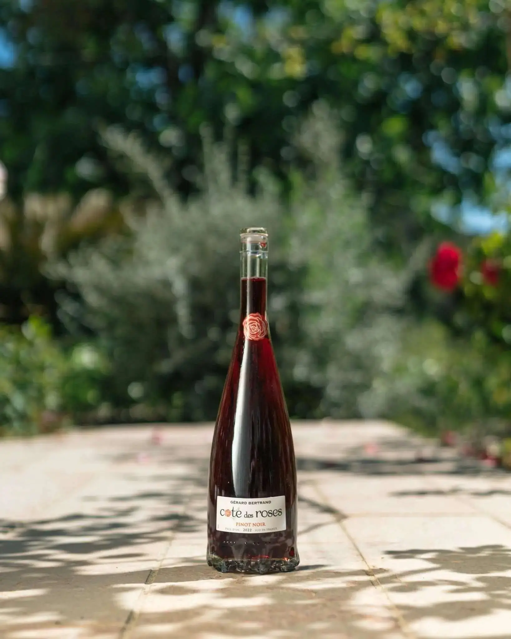 Cote des Roses Pinot noir (750ml) - Image 5