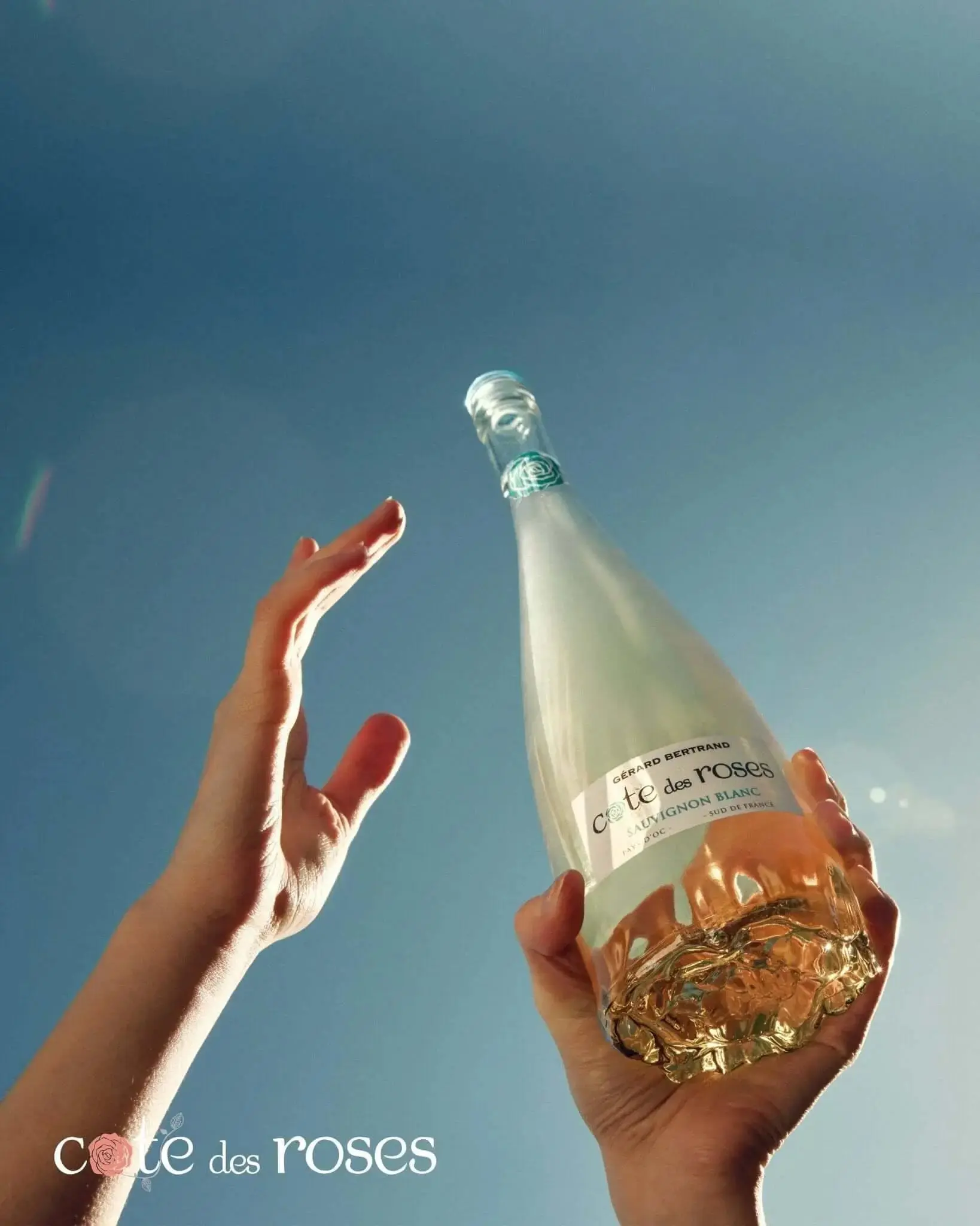Cote des Roses sauvignon blanc - Image 2