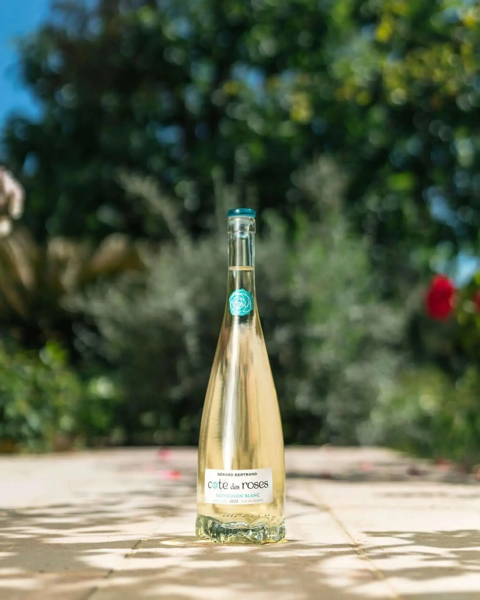 Cote des Roses sauvignon blanc - Image 4