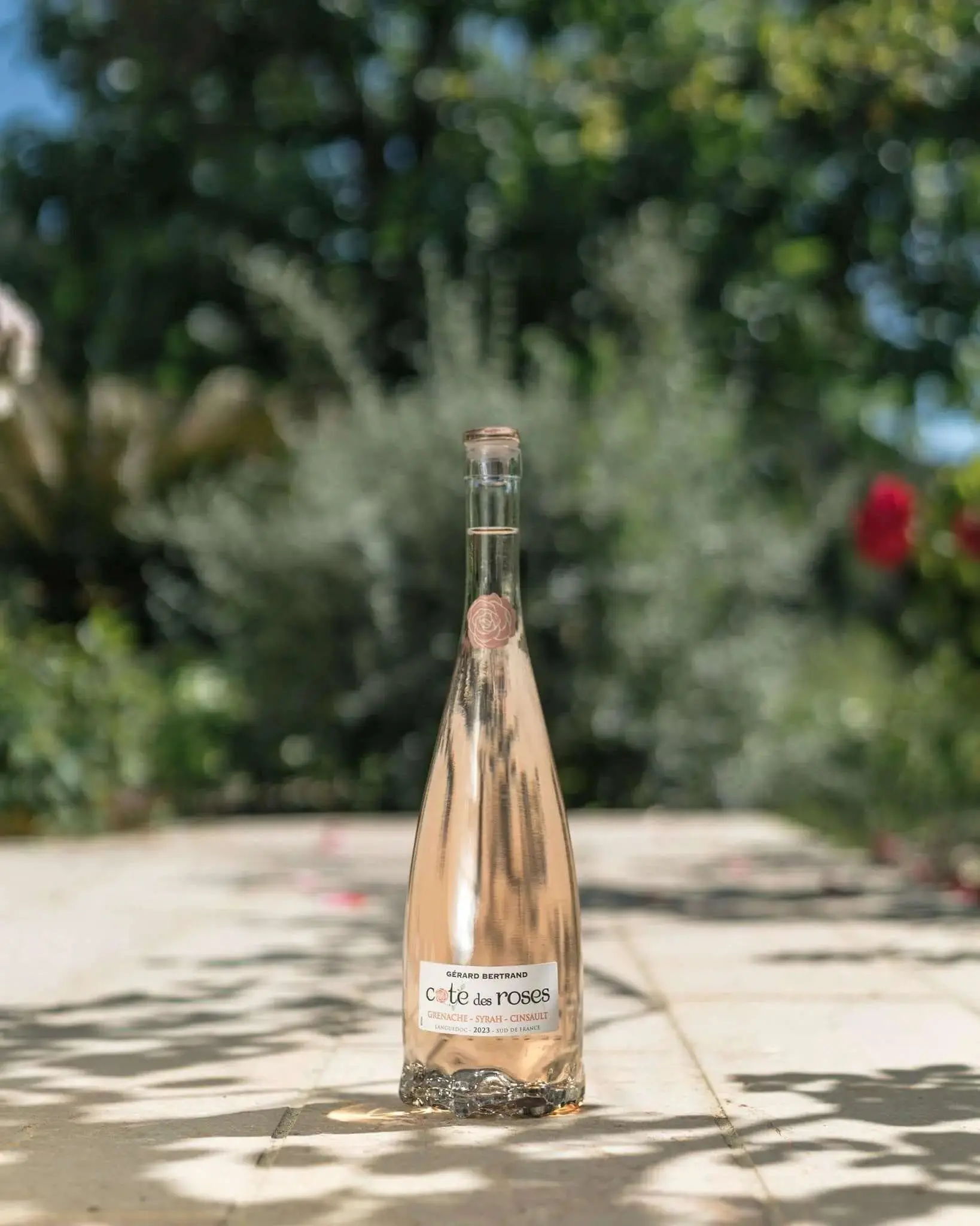 Cote des Roses rosé Half Bottle (375ml) - Image 4