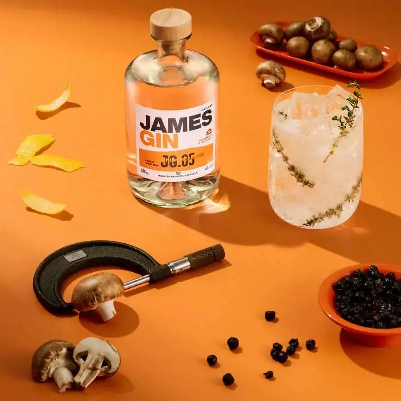James Gin California Dreamgin' W/ Souvenir Gift Key Chain - Image 2