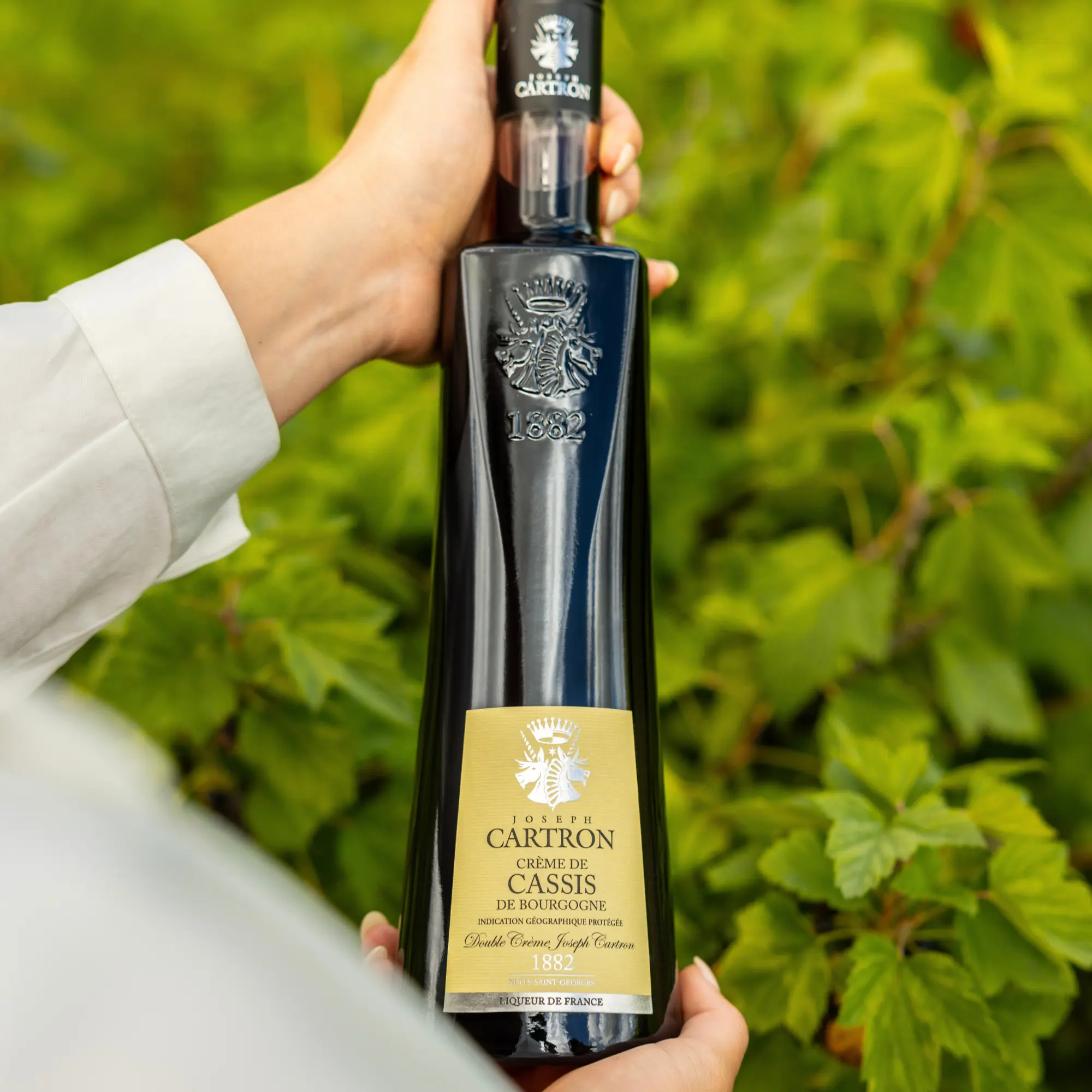 Cartron Crème de Cassis de Bourgogne (Blackcurrant) Liqueur 700 ml - Image 3
