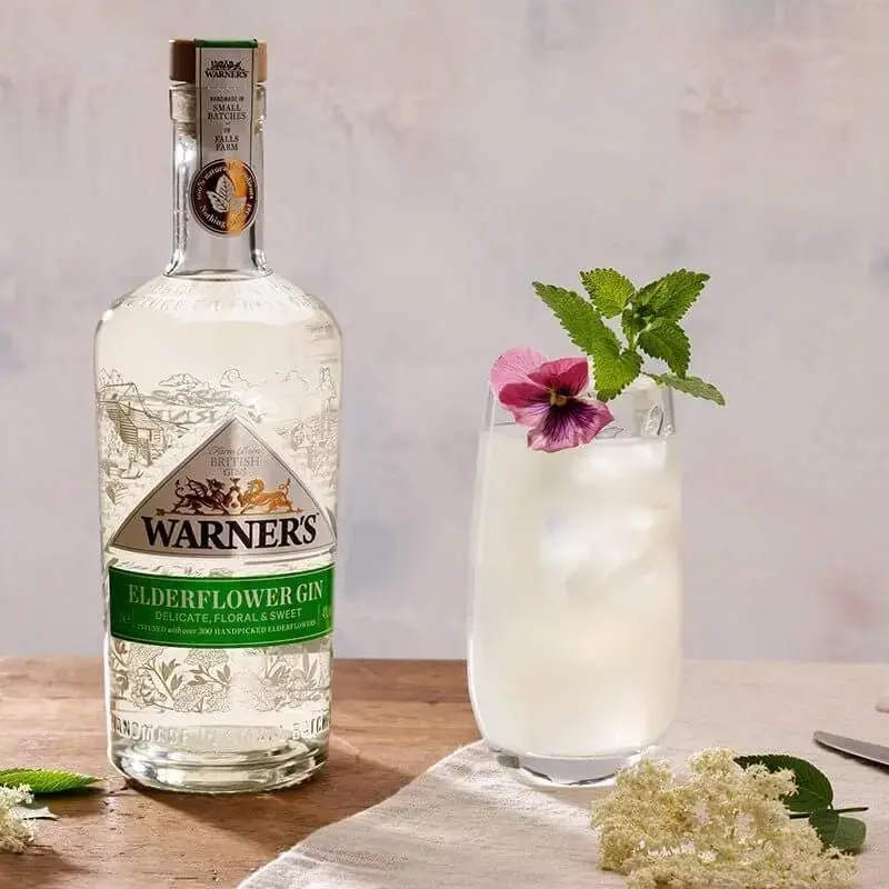 Warner's ELDERFLOWER GIN - Image 3