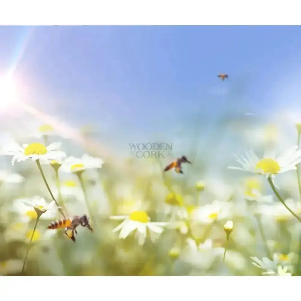 Warner's HONEYBEE GIN - Image 2