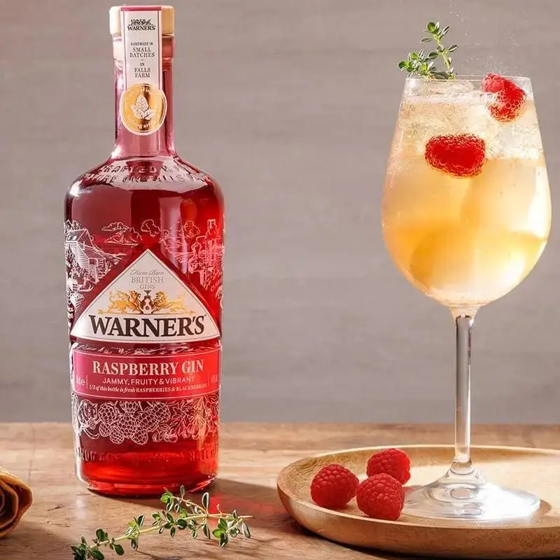 Warner's RASPBERRY GIN - Image 3