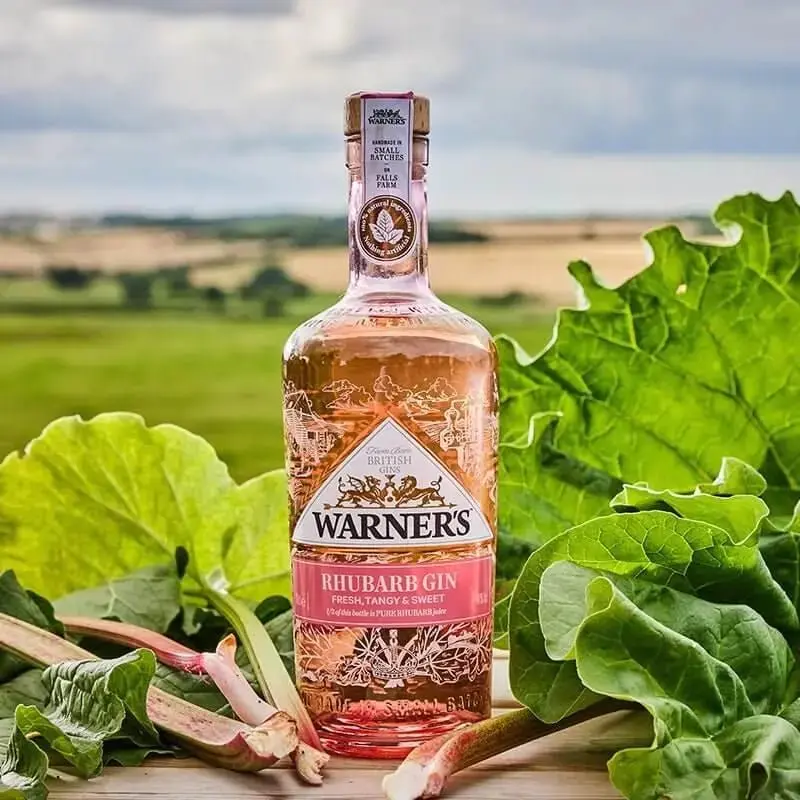 Warner's RHUBARB GIN - Image 3