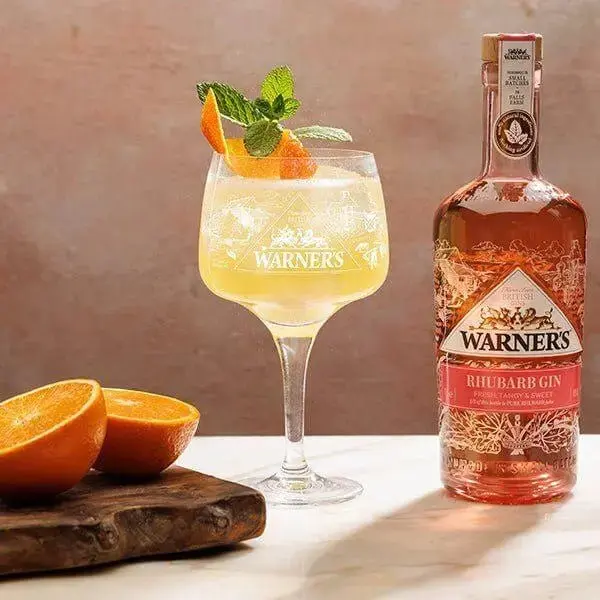 Warner's RHUBARB GIN - Image 4