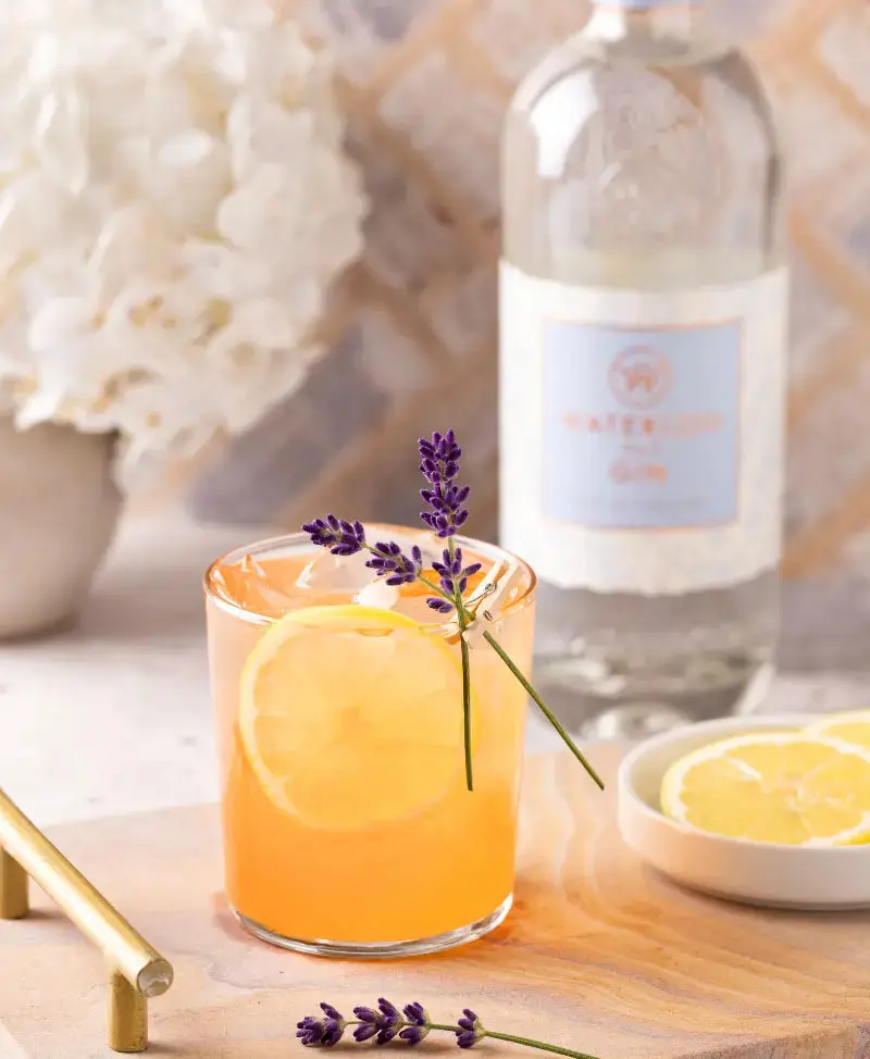 Waterloo No.9 Gin - Image 4